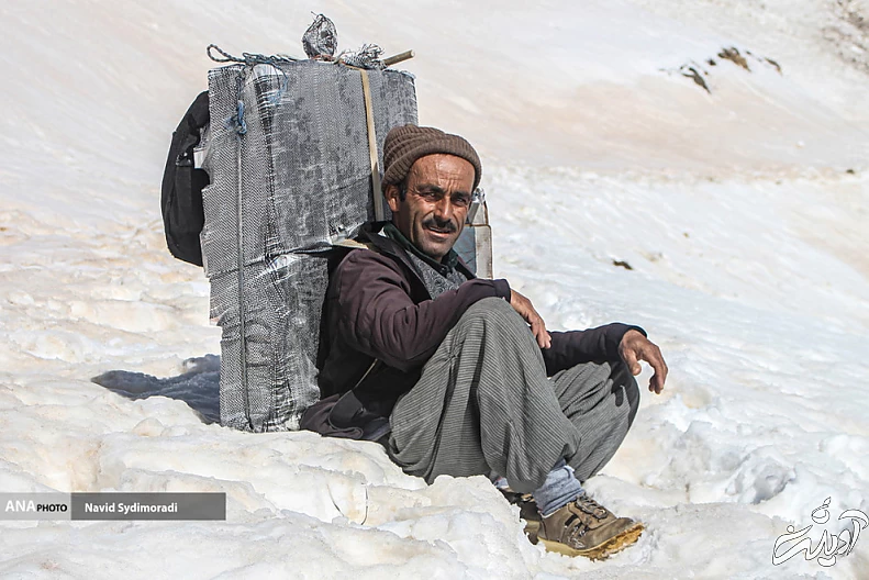 (تصاویر) کولبران کردستان
